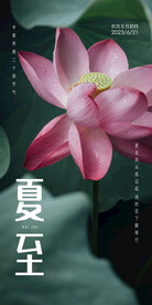 夏至