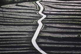 梯田
