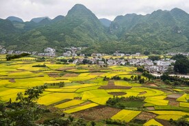 田园风光