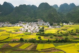 田园风光