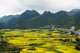 田园风光