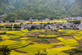 田园风光