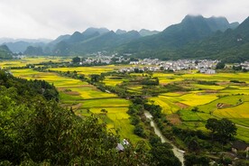 田园风光