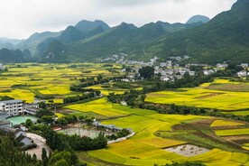 田园风光