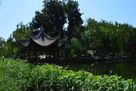陶然亭风景 