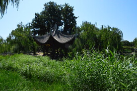 陶然亭风景