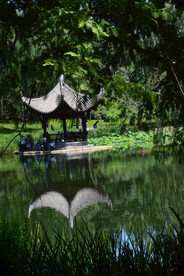 陶然亭风景