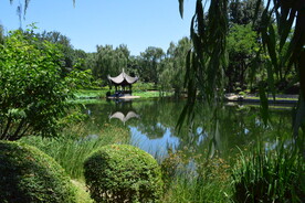 陶然亭风景