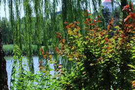 陶然亭风景 