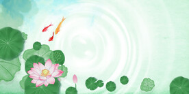 锦鲤荷花夏天插画