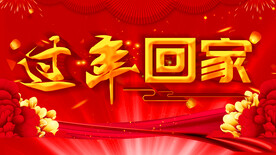 过年回家