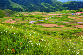 多彩大地