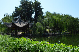 公园风景