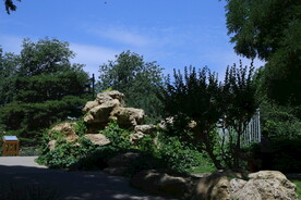 陶然亭风景 