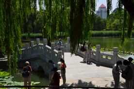 陶然亭风景 