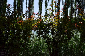 陶然亭风景