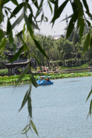 陶然亭风景