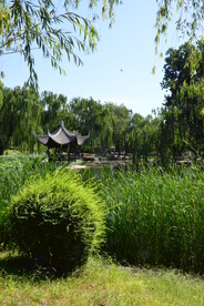 陶然亭风景 