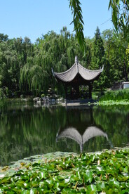 陶然亭风景 
