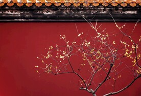 红色宫墙摄影