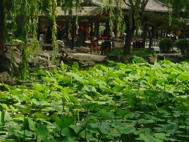 公园风景