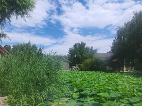 公园风景 