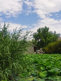 公园风景 