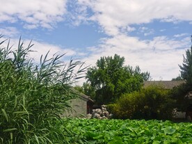 公园风景 