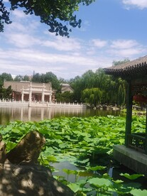 公园风景