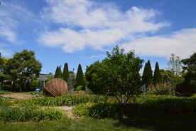 公园风景 