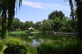 公园风景 