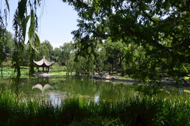 公园风景 