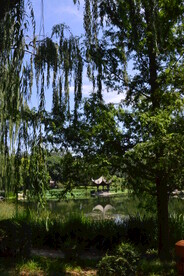 公园风景 
