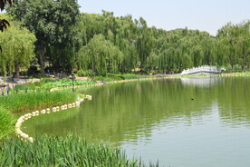 公园风景  