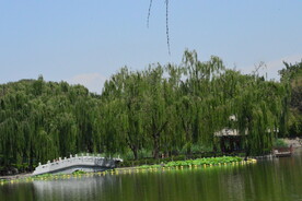 公园风景 