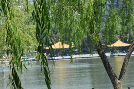 公园风景  