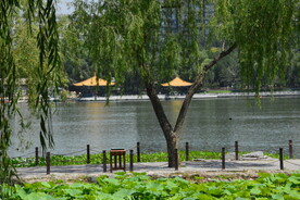 公园风景
