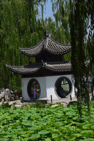 公园风景 