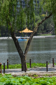 公园风景  