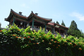 公园风景 