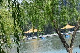 公园风景
