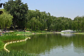 公园风景 