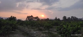 夕阳