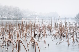 杭州西湖断桥残雪