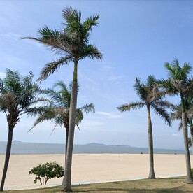 大海