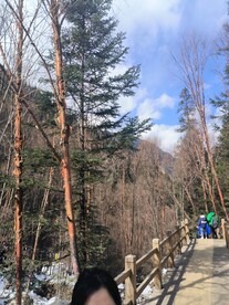 九寨沟旅游