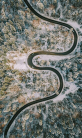 雪山树林 装饰画 弯曲小路