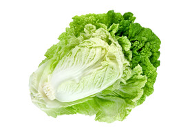 大白菜