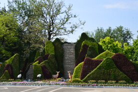 公园风景