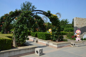 公园风景